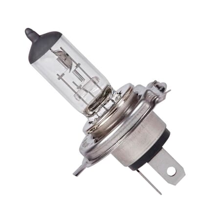 Show products in category Bulbs